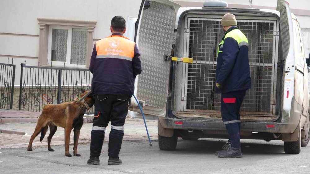 Misafirliğe giden anne ve çocuklarına köpek saldırdı: 4 yaralı