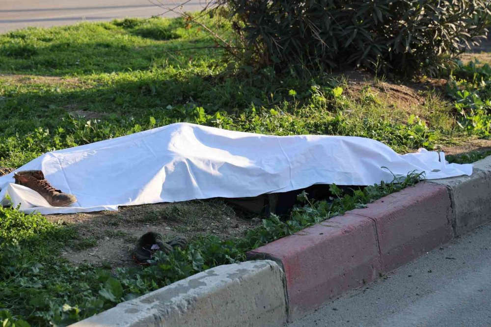 Yolun karşısına geçmek isterken canından oldu