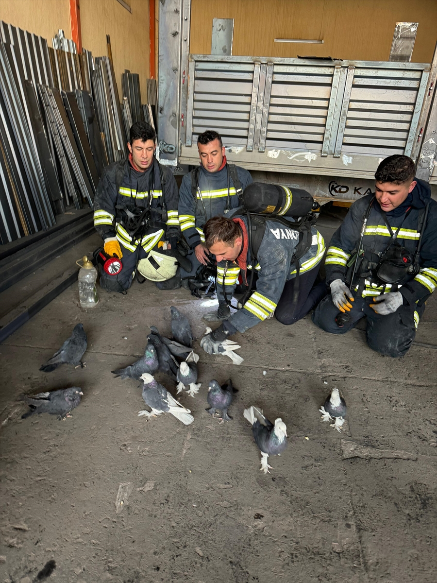 aa-20240128-33550886-33550881-yangindan-guvercinlerini-kurtaran-itfaiye-erlerine-minnettar.jpg