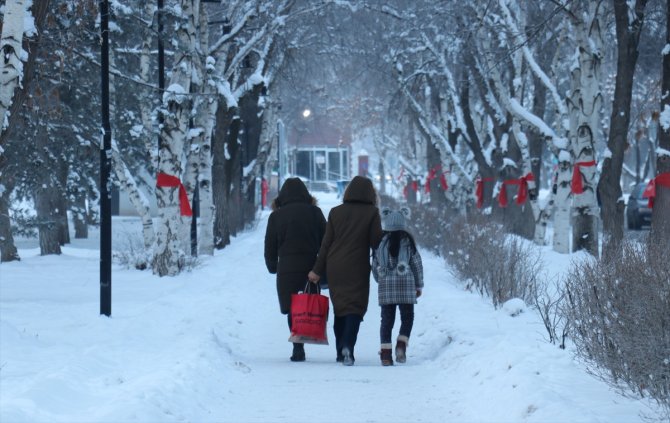 Ardahan'da termometreler gece sıfırın altında 25 dereceyi gösterdi