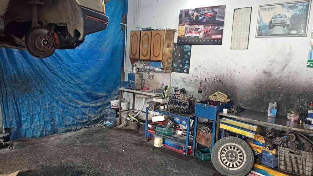 Konya'da küp şeker çalan serçeler iş yerinin maskotu haline geldi