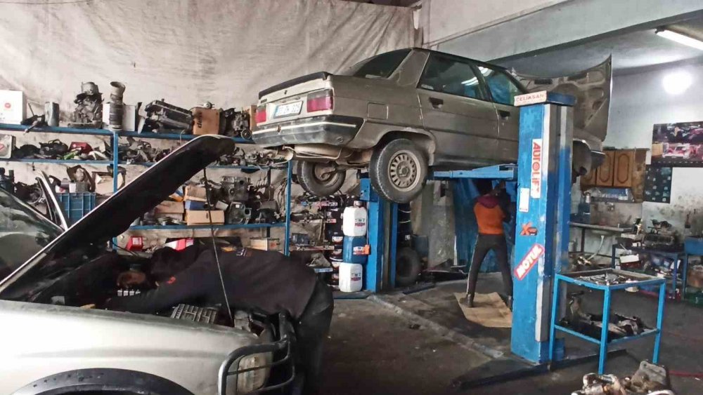 Konya'da küp şeker çalan serçeler iş yerinin maskotu haline geldi