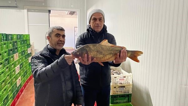 Konya'nın nadir balıkları korumada