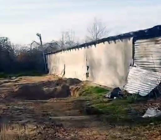 Hayvan Rehabilitasyon Merkezi’nde skandal olay!