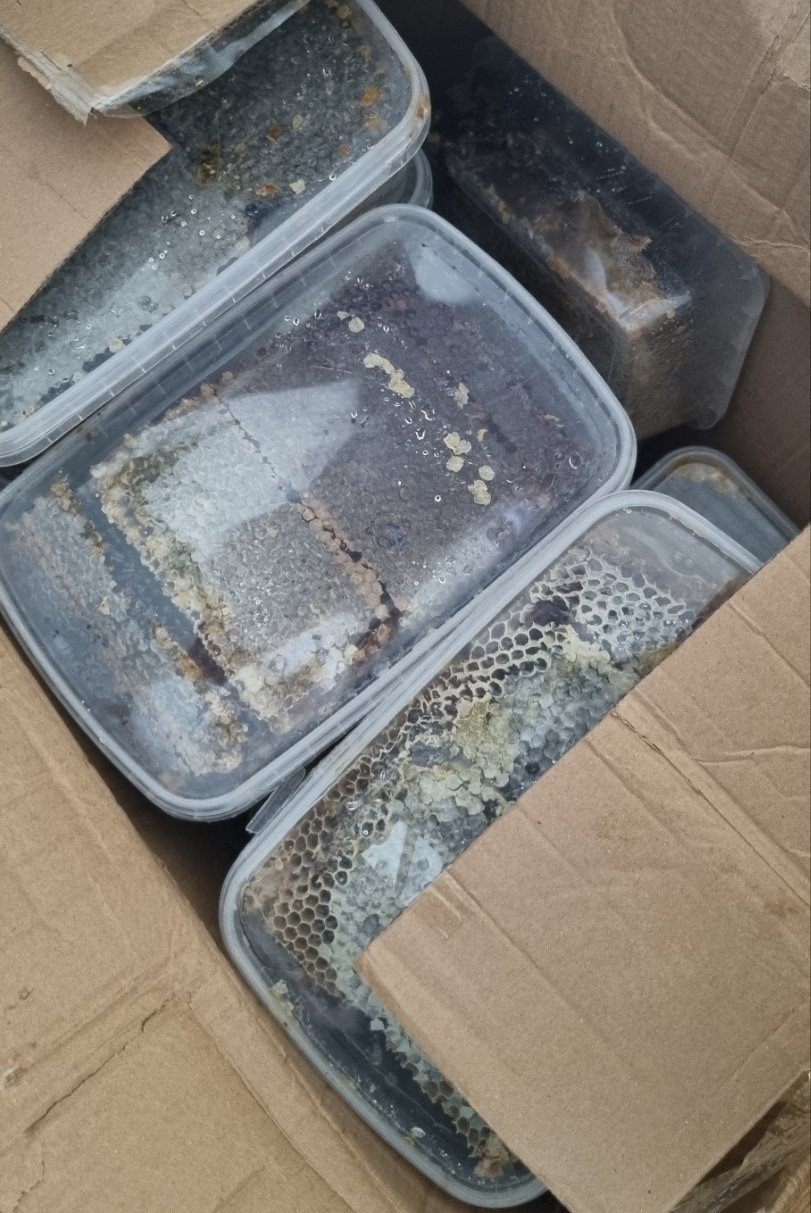 Altın değil, bal ve pekmez gümrüğe takıldı!