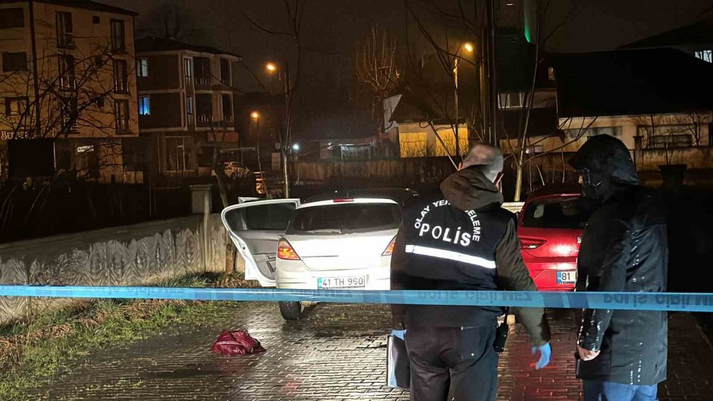 Düzce'de karı-koca kavgası 2 ölümle son buldu