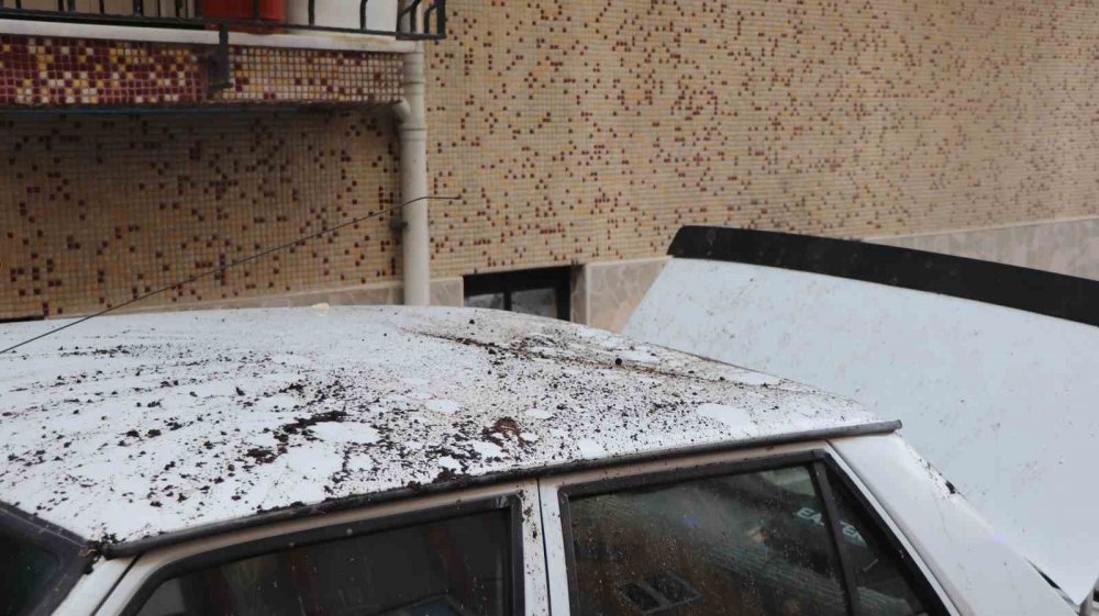 Alkollü şahıs mahalledeyi birbirine kattı