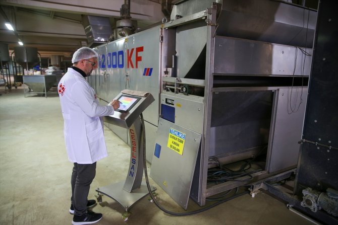 Üretimi de fiyatı da arttı! Konya'da çiftçilerin yeni gözdesi