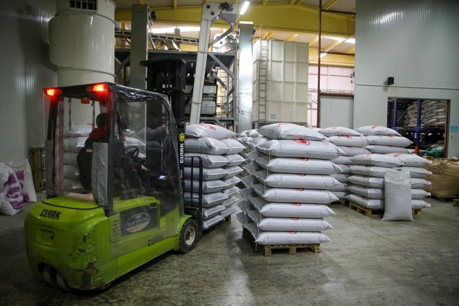 Üretimi de fiyatı da arttı! Konya'da çiftçilerin yeni gözdesi