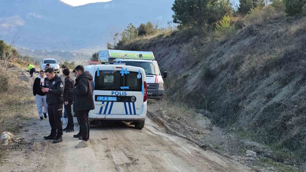 10 köpek uyuşturulup, araziye atıldı! Açıklama geldi