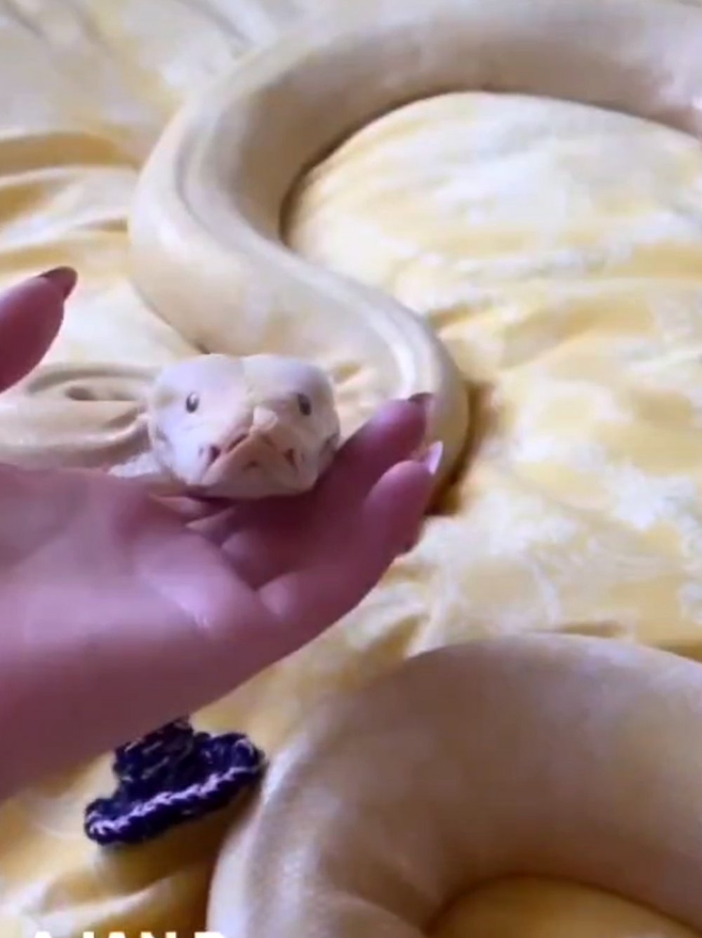 Antalya'da ev sahibi hayatının şokunu yaşadı