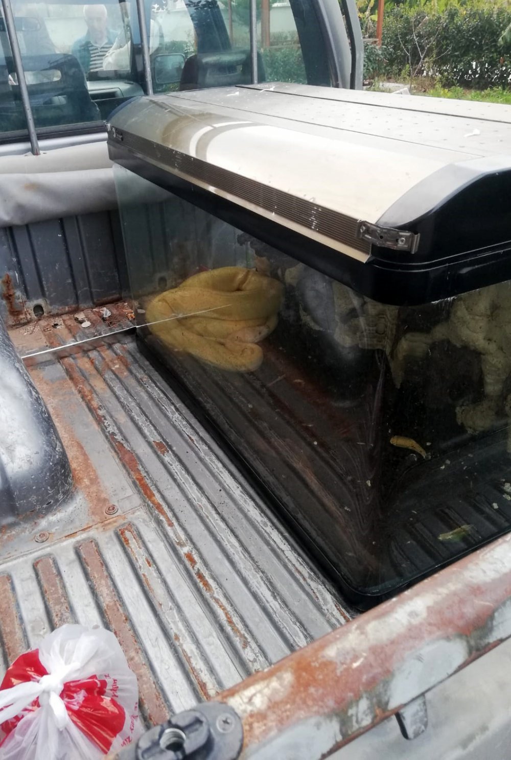 Antalya'da ev sahibi hayatının şokunu yaşadı