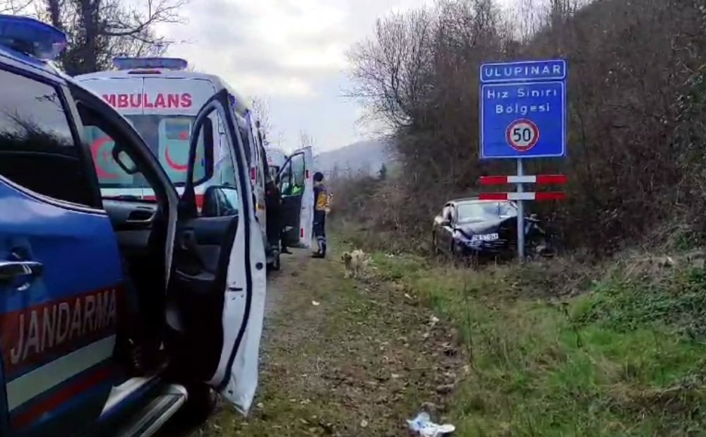 Hız yapan otomobil, hız uyarı tabelasına çarparak durabildi