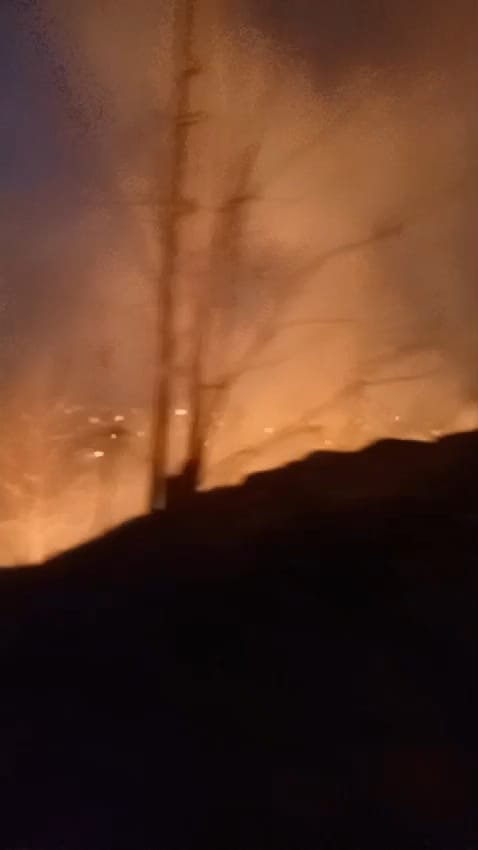 Korkutan orman yangını