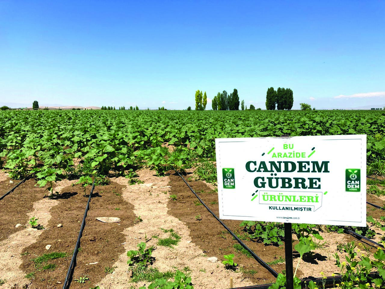 konya-firmasi-candem-gubre-18-yildir-bitkilere-nefes-oluyor-006.jpg