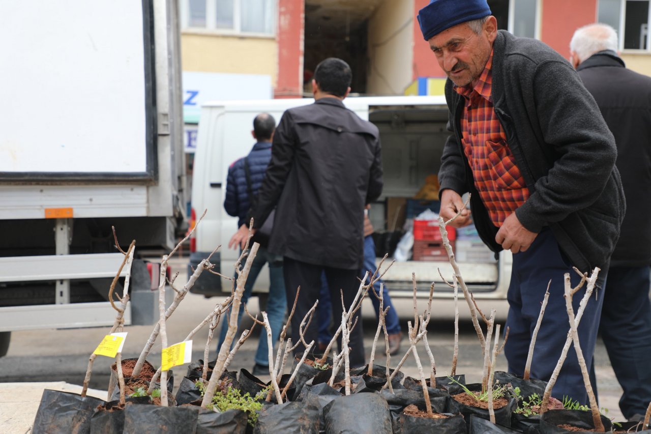 konyada-ciftcilere-antep-fistigi-fidani-destegi-o-bolgede-yetisecek.jpg
