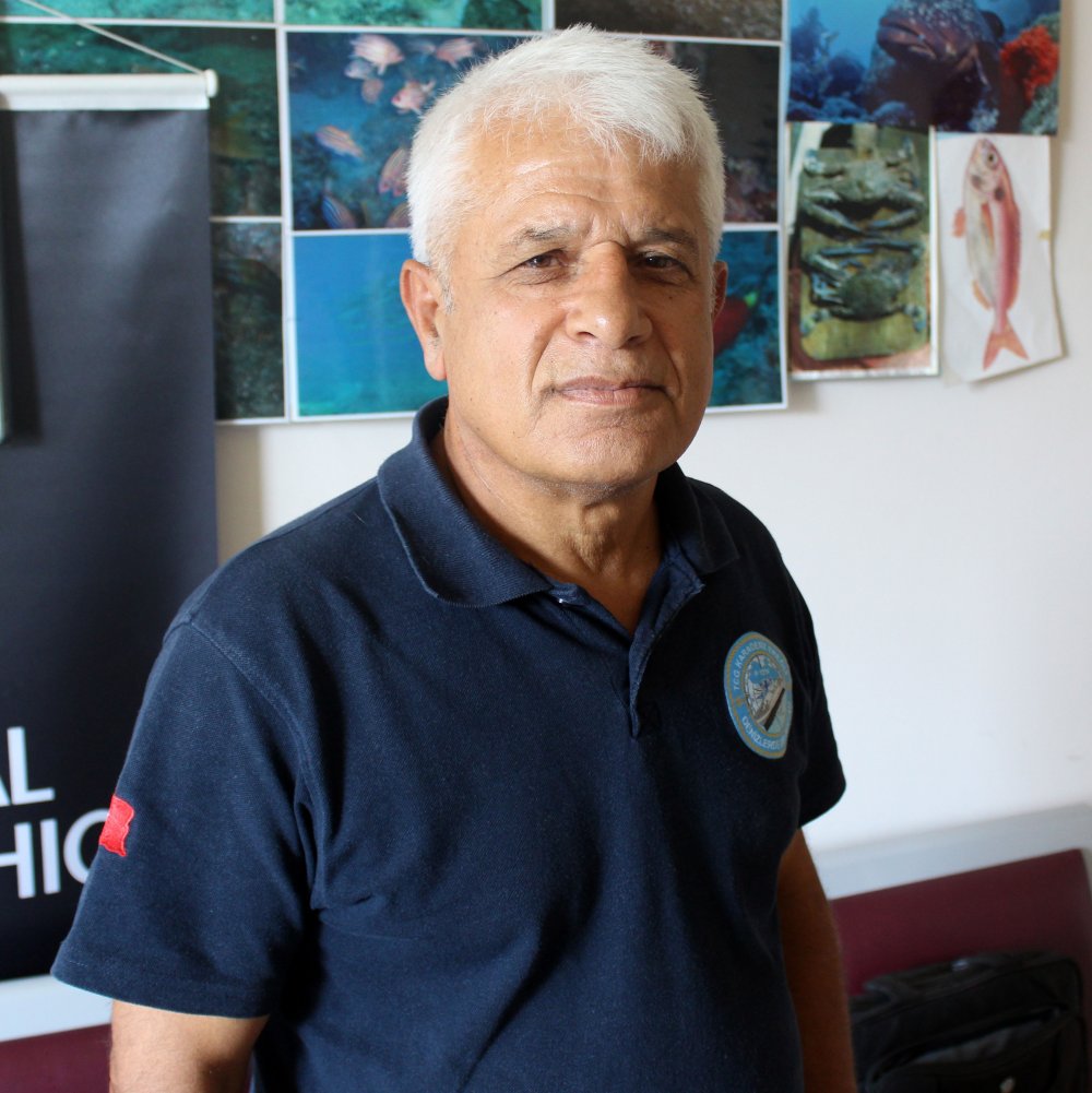 Balon balıkları sokak hayvanları için tehlike oluşturuyor