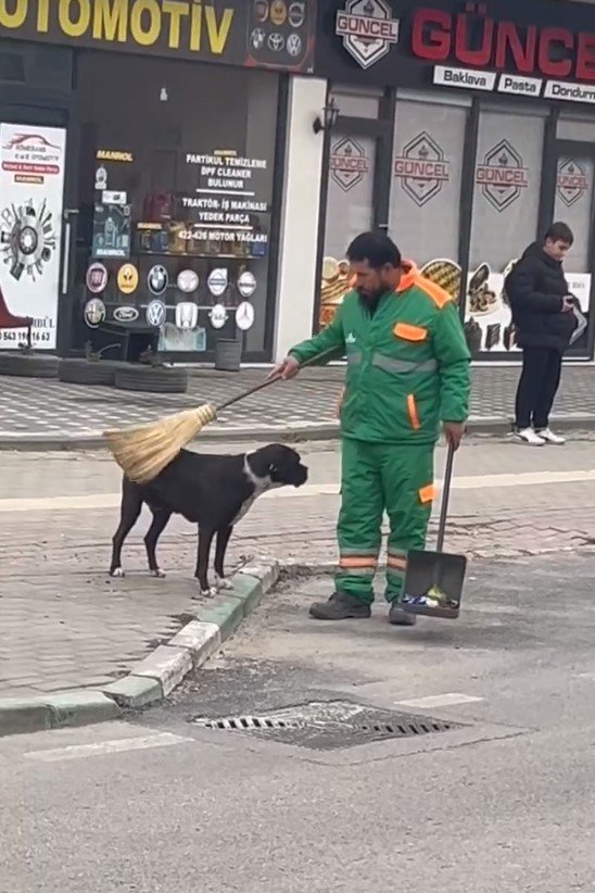 Sokak köpeğini süpürgesi ile kaşıyıp sevdi; temizlik personelinin o anları kamerada