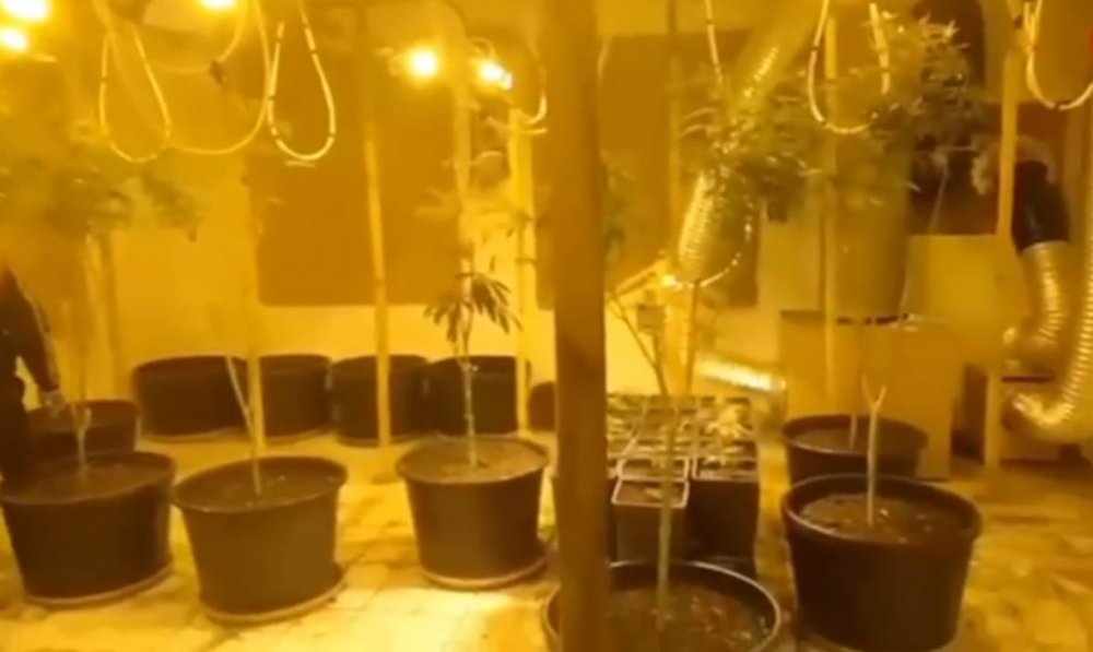 21 ilde uyuşturucu satıcılarına operasyon: 161 gözaltı