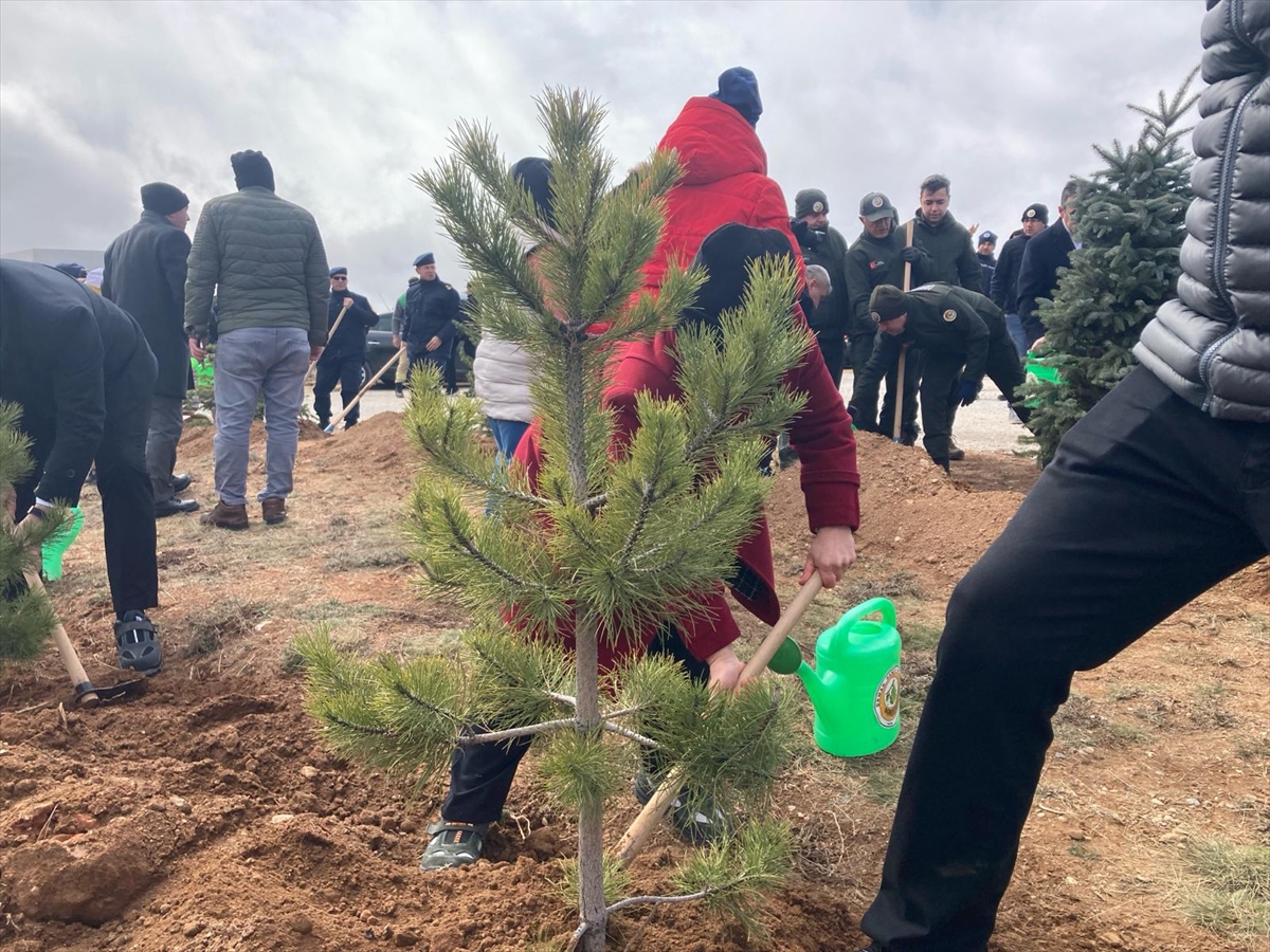 aa-20240321-34052976-34052973-orman-haftasi-ve-agac-bayrami-kutlaniyor.jpg