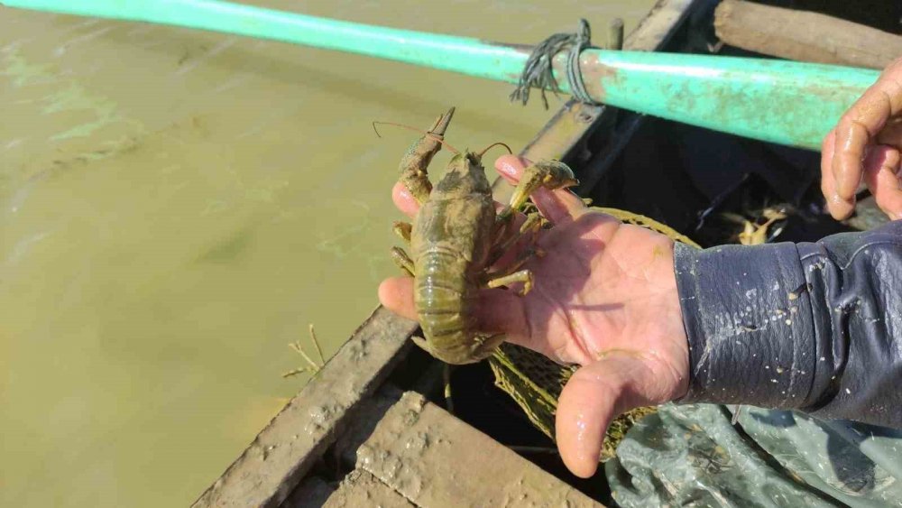 Konya'da av yasağınayönelik tedbirler arttı