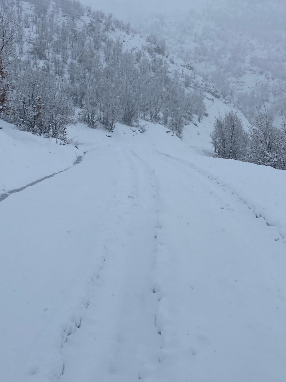 Siirt'te çığ düşen yolda mahsur kalan 4 araçtaki 12 kişi kurtarıldı