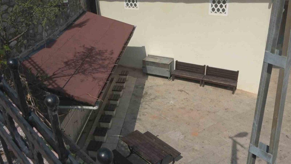 Başıboş Pitbull 2 çocuğu ısırdı!