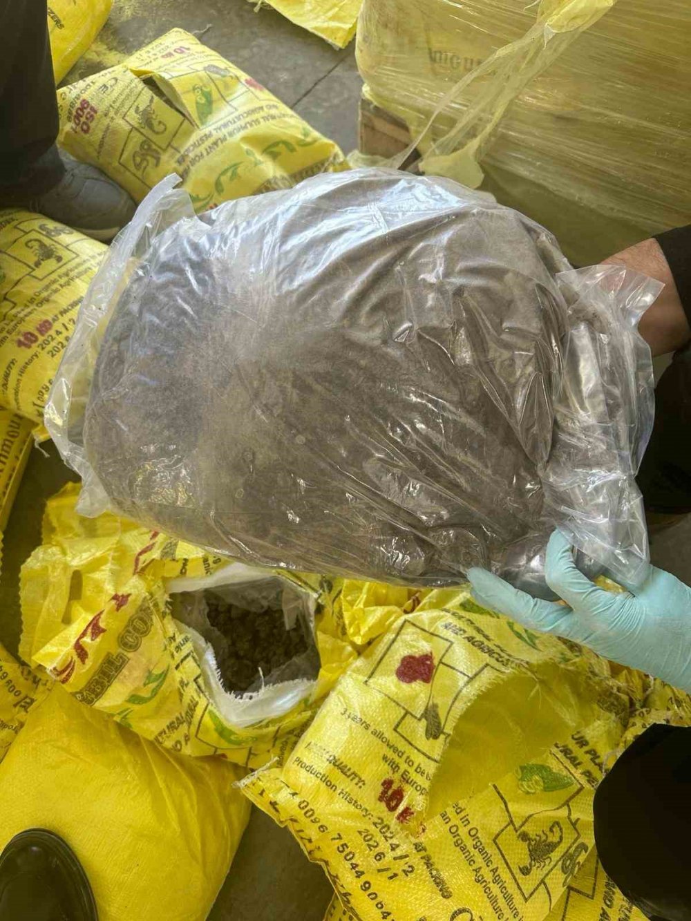 Habur'da ele geçirildi! Tek seferde yakalanan en yüksek miktar...