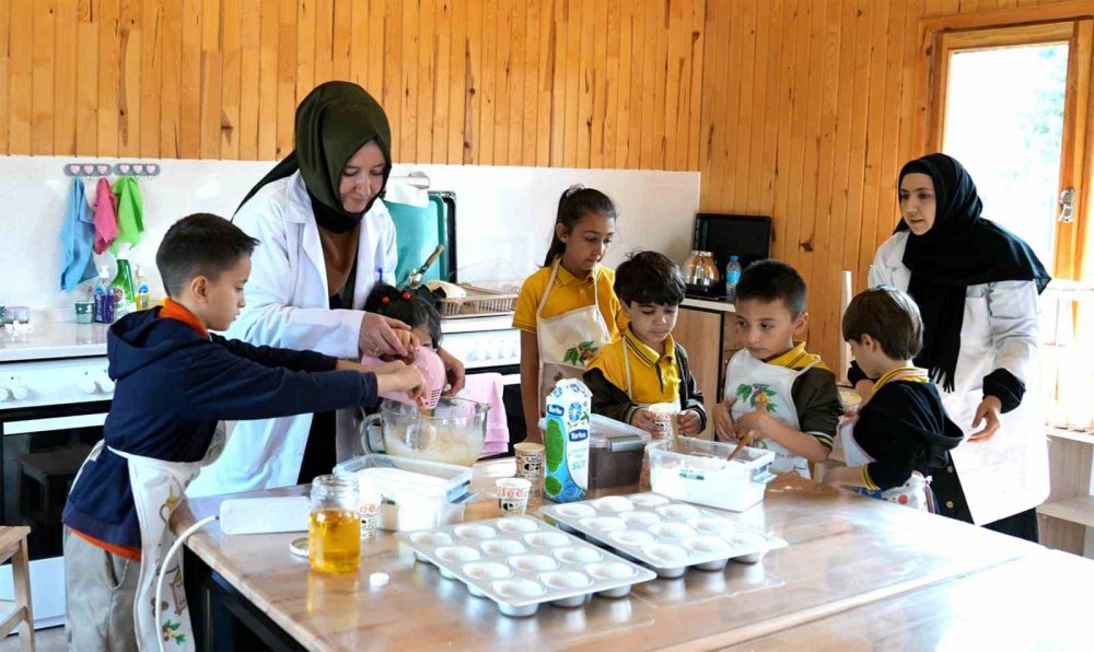 Karatay Tabiat Mektebi eğitimlere başladı