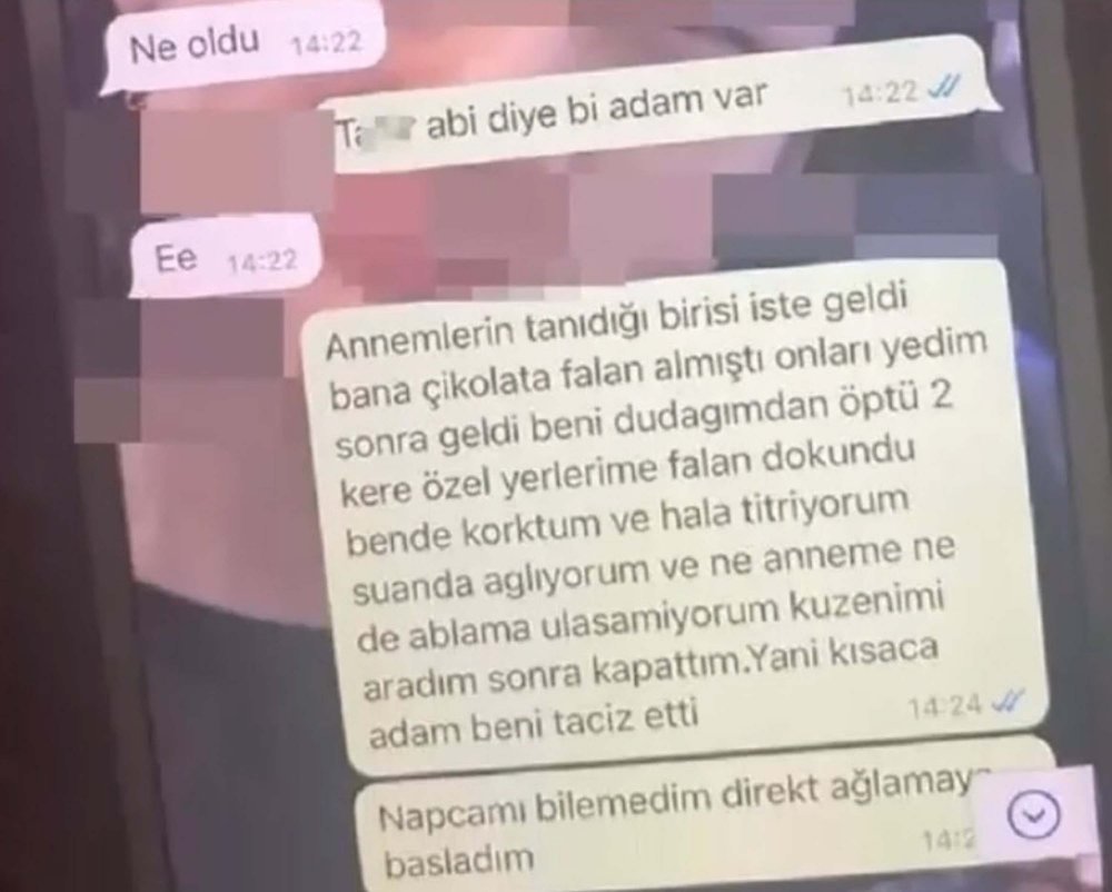 12 yaşındaki çocuğu taciz eden şüpheli tutuklandı! WhatsApp mesajları ortaya çıktı