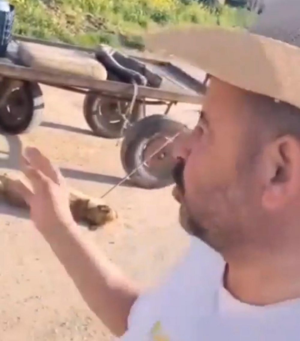 Öldürdüğü köpeği at arabası arkasında sürükledi