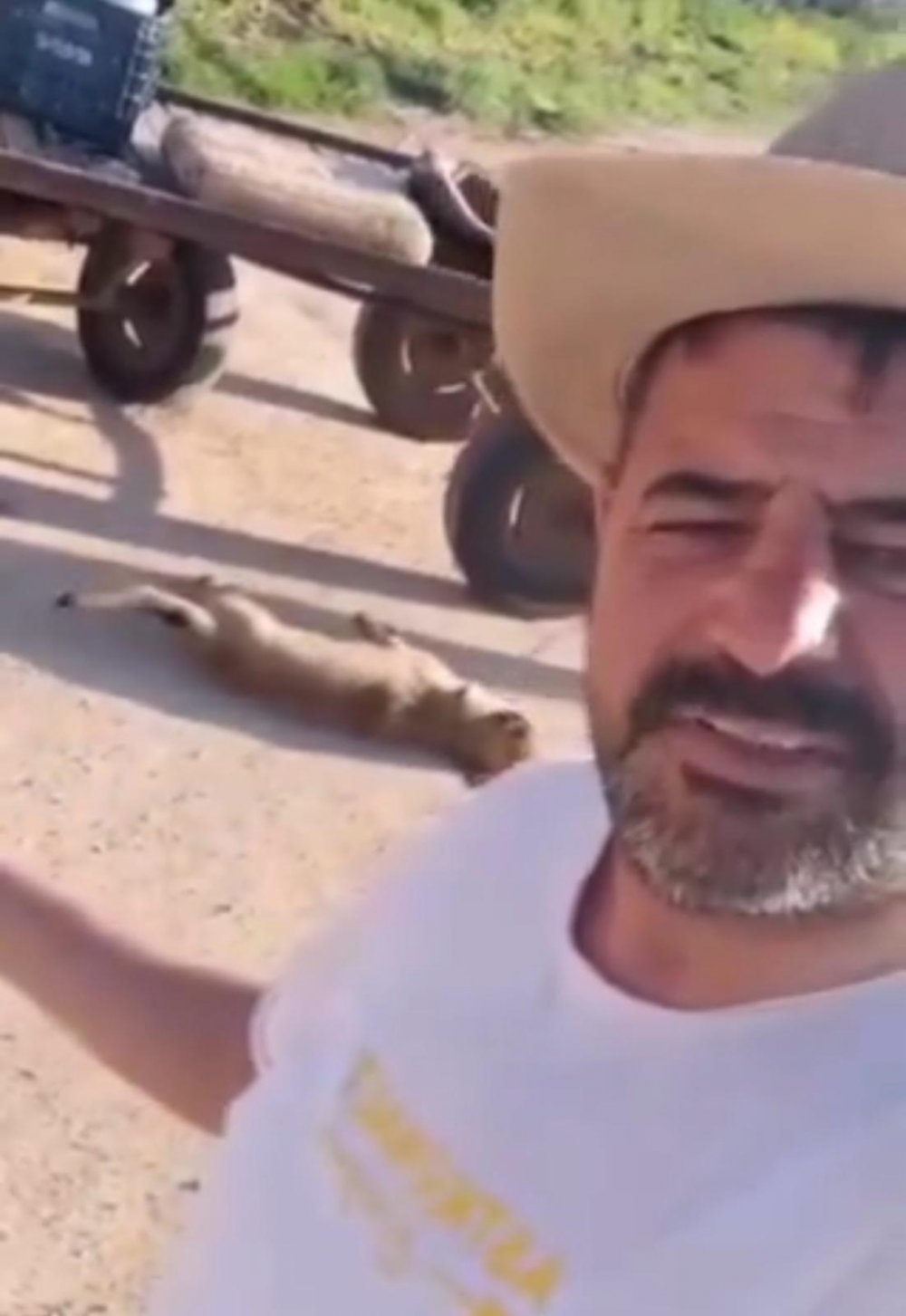 Öldürdüğü köpeği at arabası arkasında sürükledi