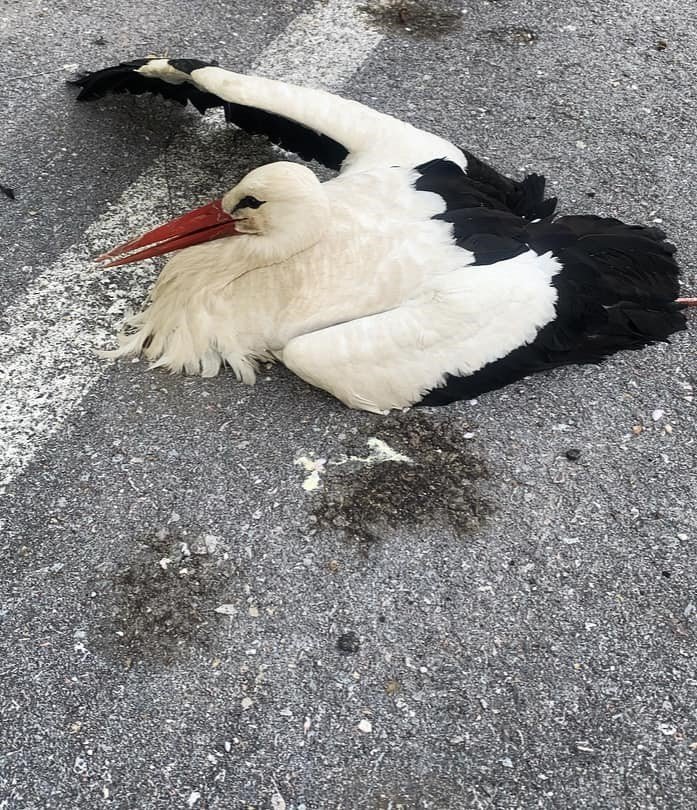 Konya'da akıma kapıldı!