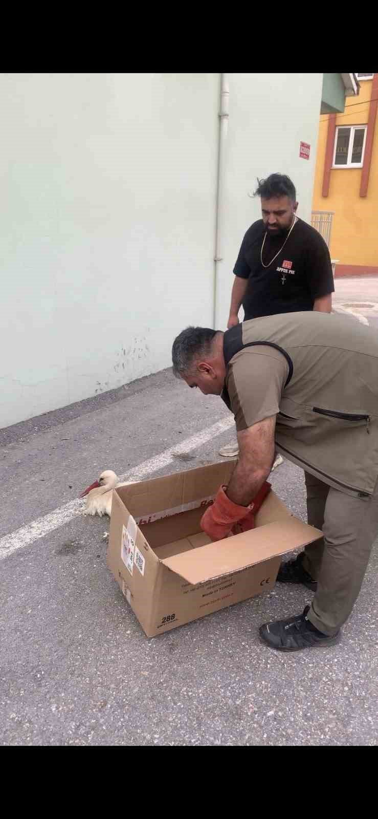 Konya'da akıma kapıldı!