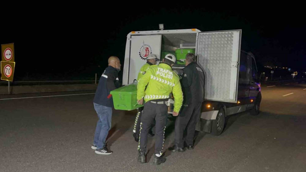 Otomobillerin çarptığı yaya hayatını kaybetti