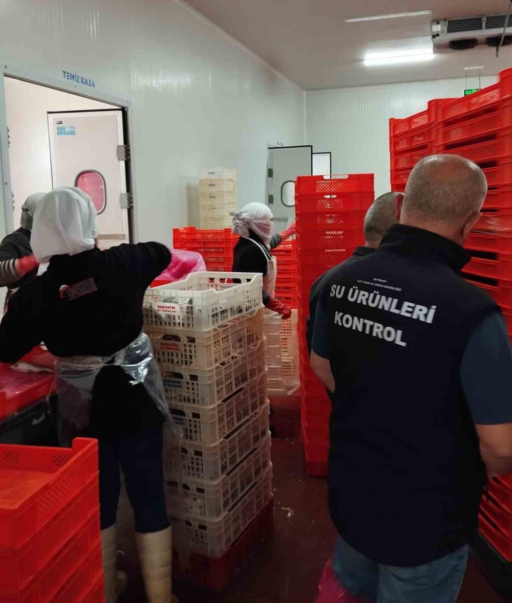 Beyşehir’de balık işleme tesisleri ve balık satış yerleri denetlendi