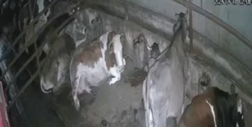 Tokat'ta 4.7 büyüklüğünde deprem! Okullar tatil edildi