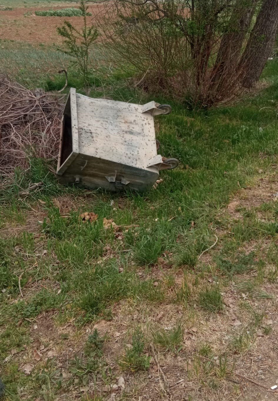 Konya Beyşehir’de devrilen ağaç yolu kapattı