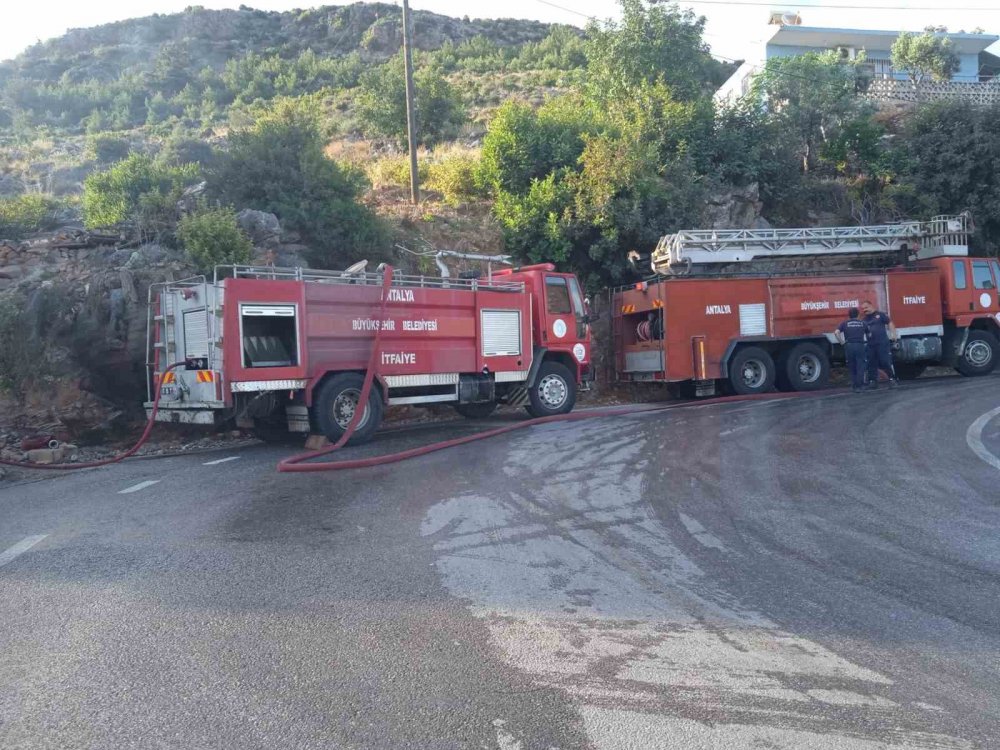 Alanya’da orman yangını