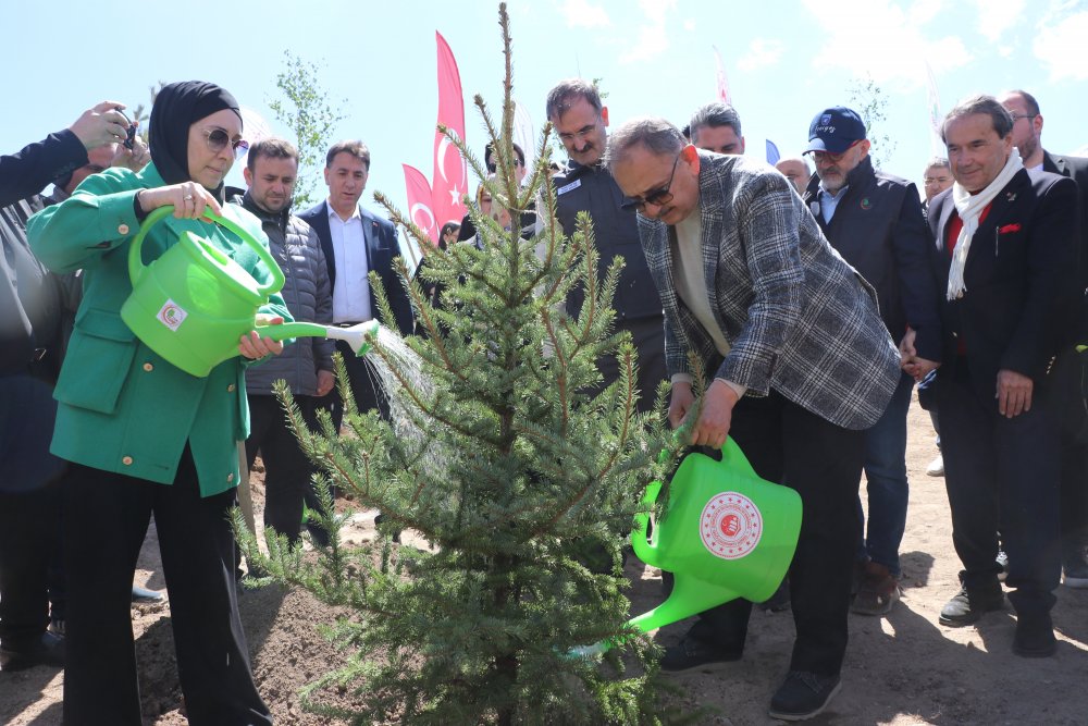 Bakan Özhaseki: Ağaçlarımızı yok ettik, ormanlarımızı kel hale getirdik