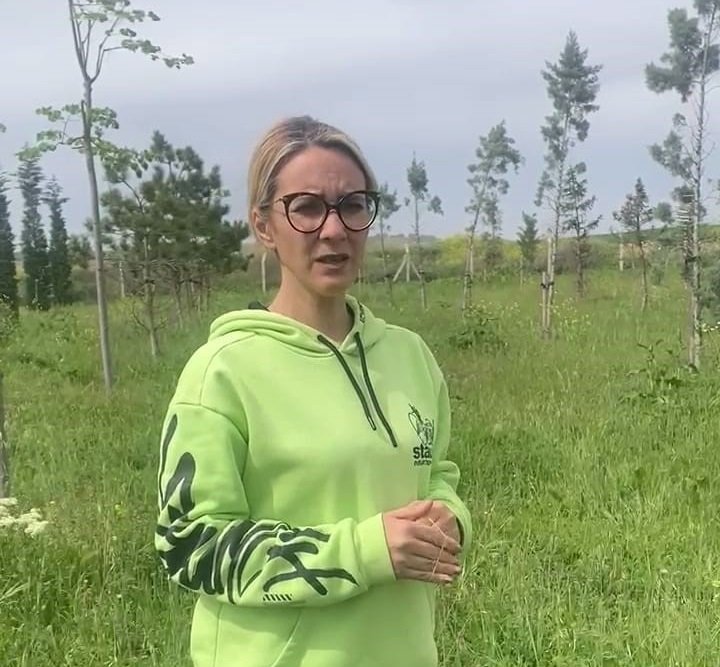 Bursa’da 6’sı yavru 7 kedi parçalanarak öldürülmüş halde bulundu