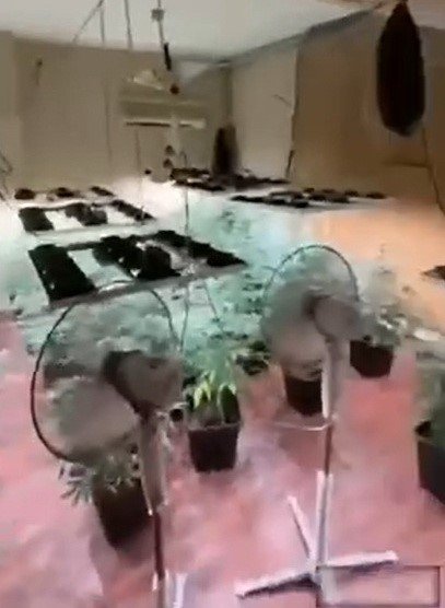 Polis, hayretler içinde kaldı! Evde “zehir” serası kurmuş