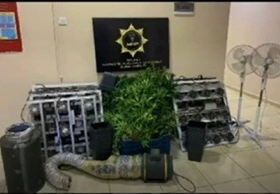 Polis, hayretler içinde kaldı! Evde “zehir” serası kurmuş