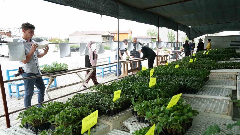 Konya'nın ilk ve tek tesisi... Yeni sezon satışları başladı