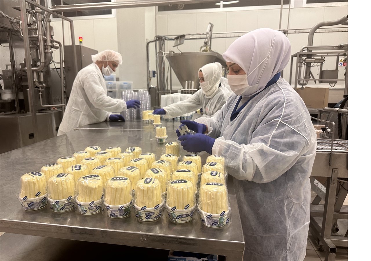 konya-seker-sanayi-ve-ticaret-as-tesislerinde-uretilen-sut-ve-sut-urunleri-ic-piyasanin-yani-sira-15-orta-dogu-ulkesine-gonderiliyor.jpg