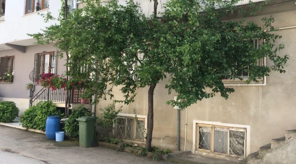 Sokak köpekleri 3 çocuğa saldırdı! İşte o anlar