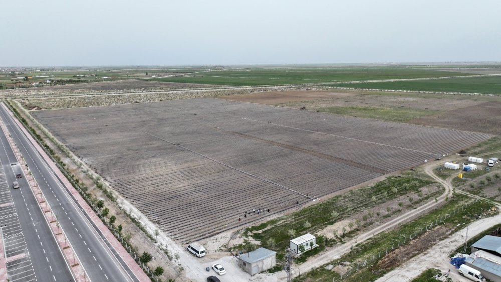 Konya'da yerli tohumlar toprakla buluştu