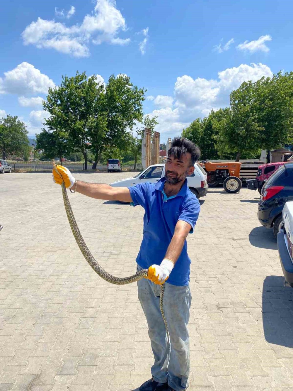 Otomobilin motor kısmından öyle bir şey çıktı ki!