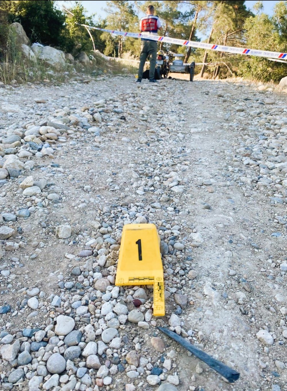 Tek domuz kurşunuyla hem annesini hem de babasını vurdu