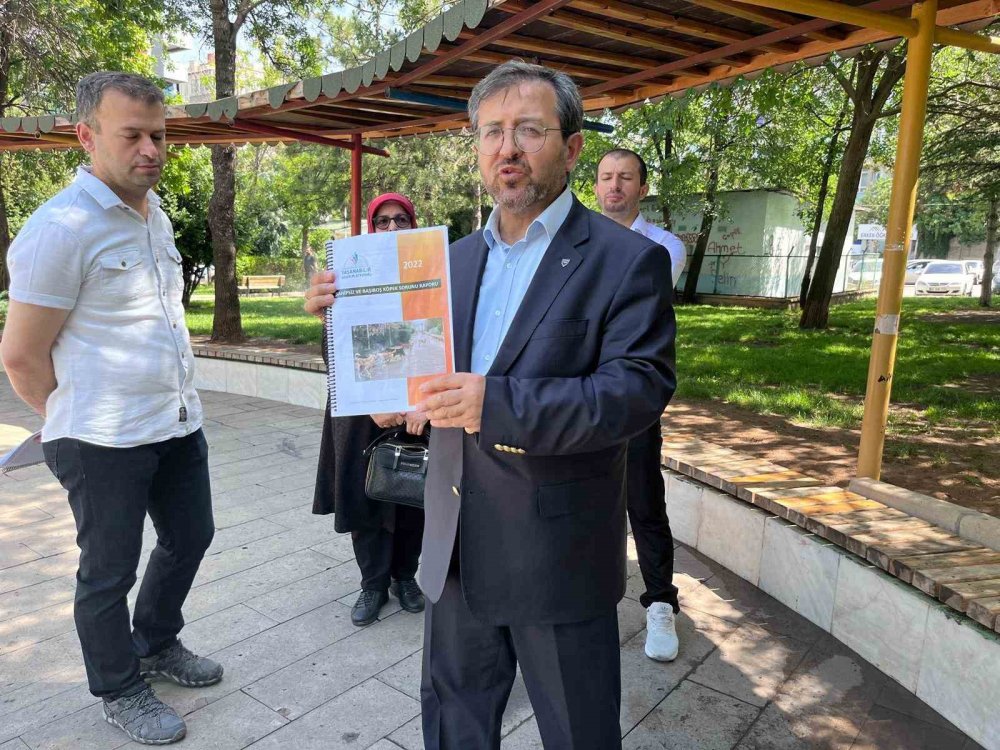 Vatandaşlar sahipsiz köpek sorununa çözüm bekliyor